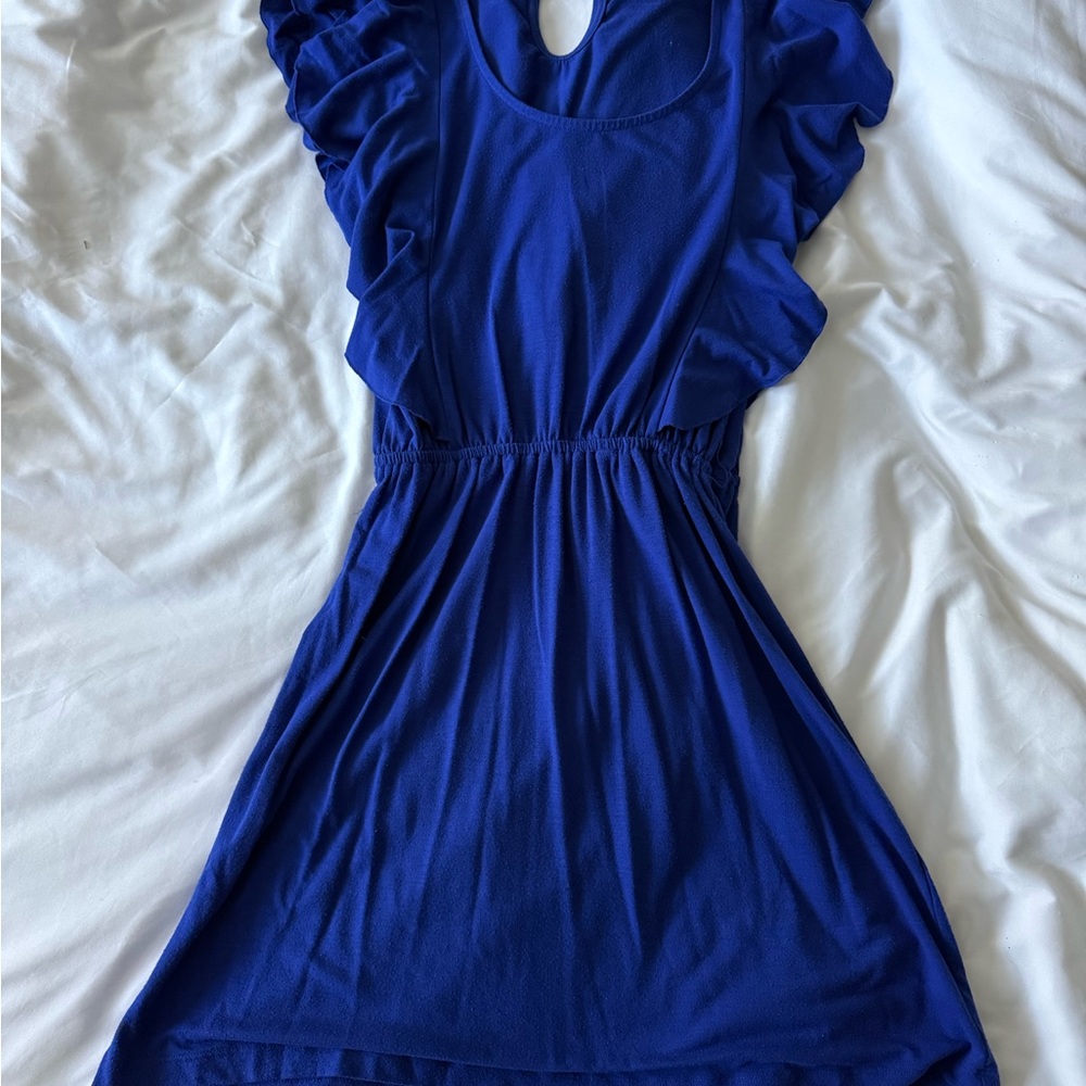 🌶️ 5 for $20: Blue Ruffle Sleeve Dress